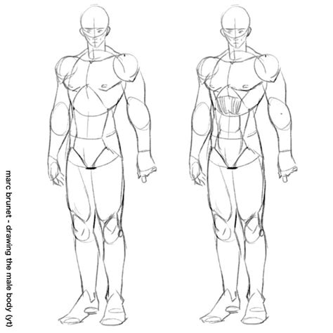 Marc Brunet Drawing The Male Body Construction Explained Body