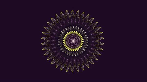 Wallpaper Illustration Spiral Symmetry Pattern Circle Flower