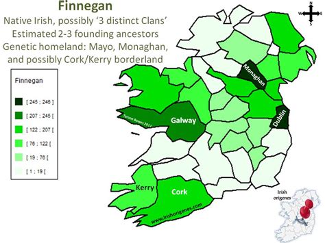 Finnegan Irish Origenes Use Your Dna To Rediscover Your Irish Origin