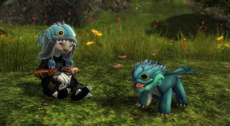 Your support helps a lot! Screenshots | GuildWars2.com