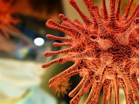 Исследование показало: повторное заражение коронавирусом возможно — Haqqin