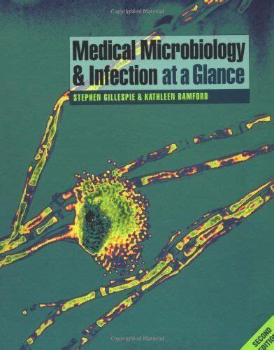 Medical Microbiology And Infection At A Glance By Bamford Kathleen Paperback 1405111739 Ebay