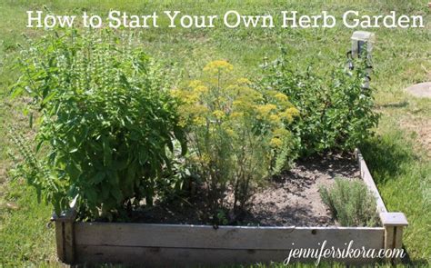 How To Grow Your Own Herb Garden Jen Around The World