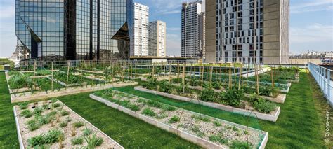 Urban Rooftop Farming Zinco Green Roof Systems