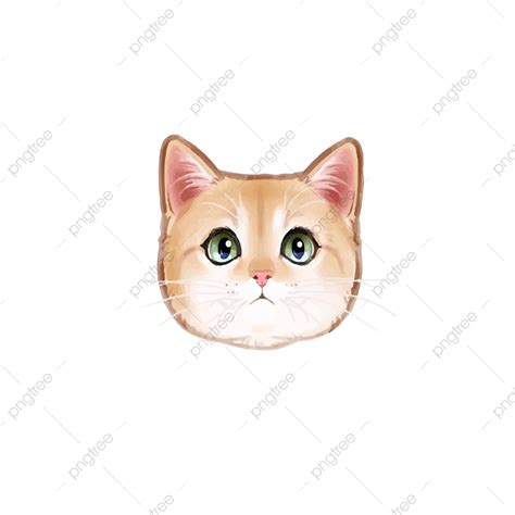 Cat Head Png Transparent Images Png All