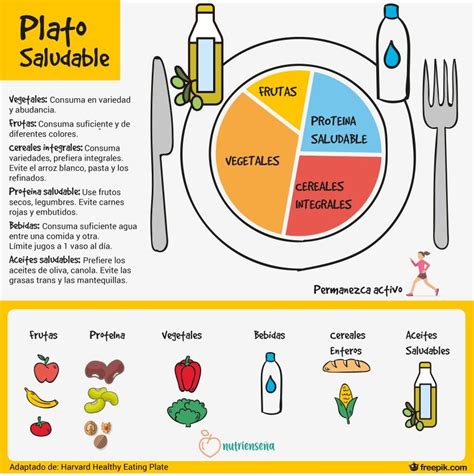 Arriba Foto Una Infograf A Sobre La Alimentaci N Saludable El Ltimo