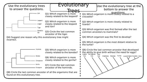 Evolutionary Trees And Classification Gcse Biology Worksheets