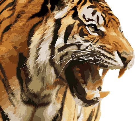 Download Big Image Angry Tiger Face Png Clipart Png