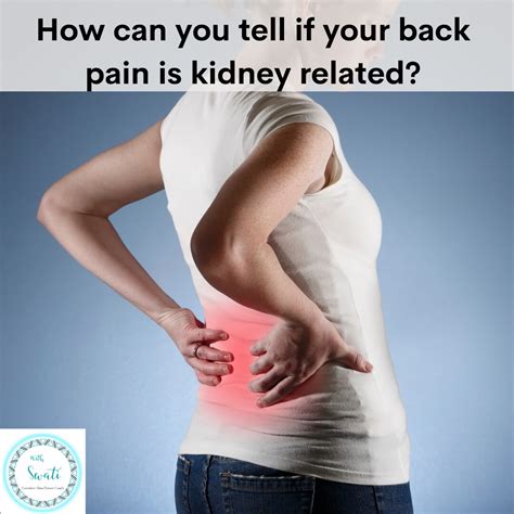 How Can You Tell If Your Back Pain Is Kidney Related Swati Prakash
