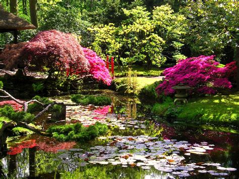 Japanese Zen Garden Japanese Garden The Hague