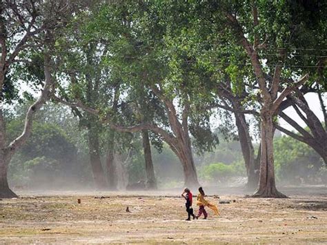 Heat Wave Intensifies Over 700 Killed In Telangana Andhra Pradesh