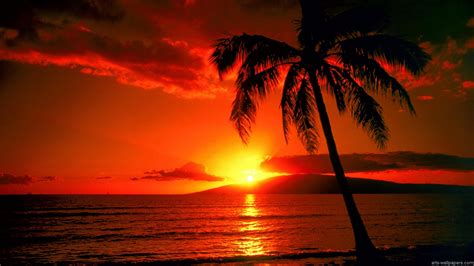 Hawaii Sunset Wallpaper ·① Wallpapertag