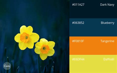 100 Color Combination Ideas And Examples Canva
