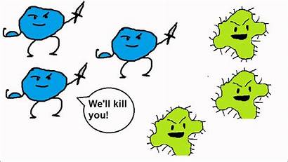 Immune System Animation Works Vaccines Funny Specific