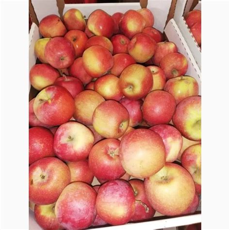Продам/купить яблоки оптом от производителя, сорта в ассортименте - Москва — Agro-Russia