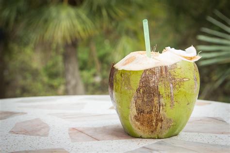 Coconut Drink Orchard at Victor Gallegos blog