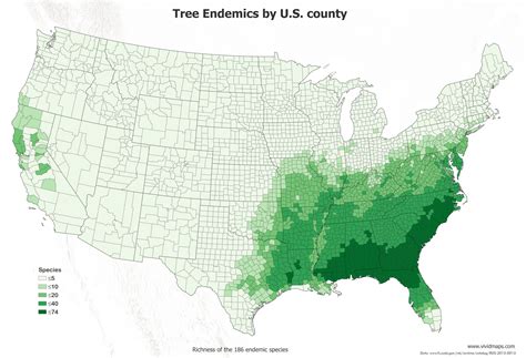 The Diversity Of Trees In The United States Mapped