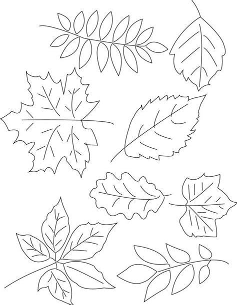 Leaf Pattern To Trace Coloring Home