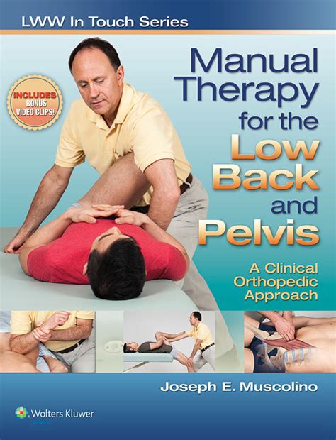 If you are experiencing an achy back, your hips may be to blame. Manual Therapy for the Low Back and Pelvis: A Clinical ...