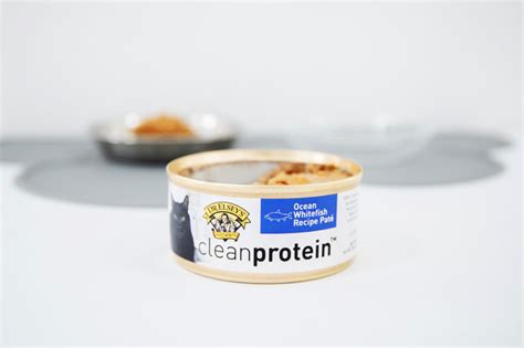 2 cat food high in iron. High-protein cat food brand expands retail presence in ...