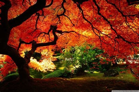 Beautiful Autumn Ultra Hd Desktop Background Wallpaper For