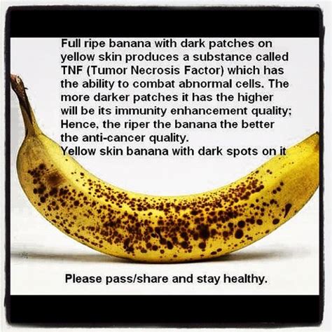 Bananas Prevent Cancer Debunking Another Myth About Food