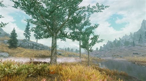 Distant Ground And Tree Textures With Dyndolod Skyrimmods