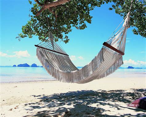 Hammock On The Beach In The Resort Of Krabi Thailand Wallpapers And