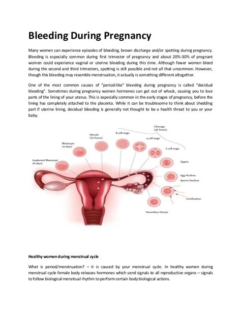 Bleeding during pregnancy may be normal (implantation bleeding) or it may be a sign of a more serious problem. Bleeding during pregnancy