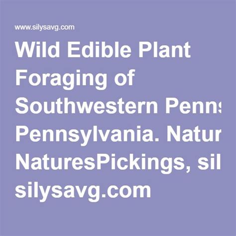 Wild Edible Plant Foraging Of Southwestern Pennsylvania