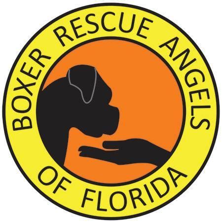 Perth rescue angels, perth, western australia. Pets for Adoption at Boxer Rescue Angels of Florida, in ...