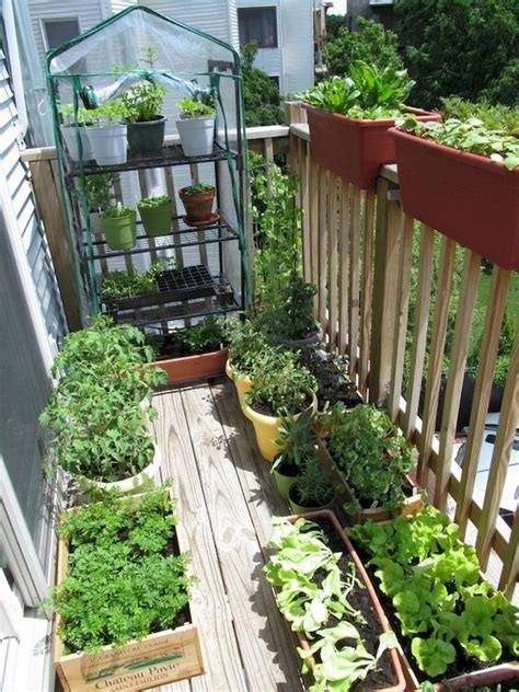 Free Apartment Balcony Herb Garden With New Ideas Home Decorating Ideas