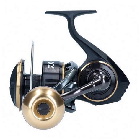 Offerta Daiwa Bg Mq Ark Model Reels Front Drag Tognini Fishing