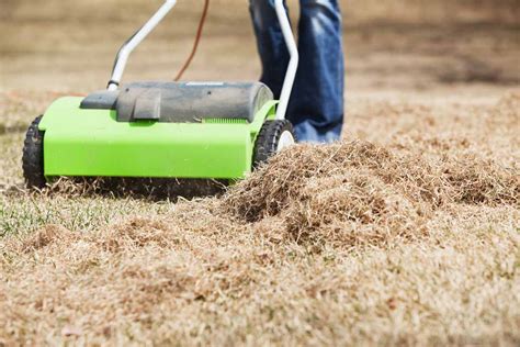 Never dethatch when your lawn is dormant or stressed; Easy Steps for Getting Rid of Thatch • GreenView Fertilizer