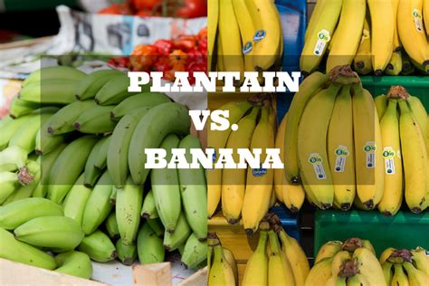 As i wrote before medium size banana (130 g) have 116 calories. Plantain vs. Banana: They Look Same But Are Different