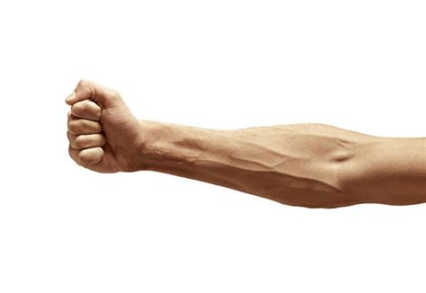Free Arm Images Pictures And Royalty Free Stock Photos