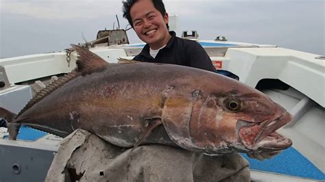 Epic Fishing Adveture Huge Grouper And Amberjack Catching Tuna And Rod