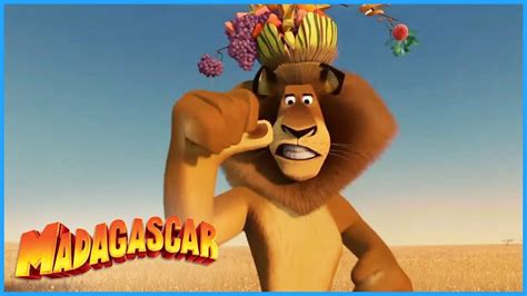DreamWorks Madagascar Surprised To See Me Madagascar Escape 2