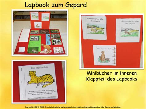 Lapbook vorlagen zum ausdrucken herunterladen karten kostenlos. Ein Lapbook zum Thema Tiere erstellen - 8 ...