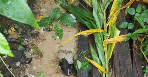 Sebenarnya empangan itu turut berfungsi untuk menakung air dan jika empangan itu tiada, keadaan banjir yang lebih teruk akan. Contoh surat aduan ringkas kebocoran paip bawah tanah