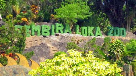 Informasi mengenai harga tiket masuk gembira loka zoo, sebuah kebun binatang di kota jogja lengkap dengan koleksi aneka satwanya. √ Harga Tiket Masuk Gembira Loka Zoo 2021 + Wahana