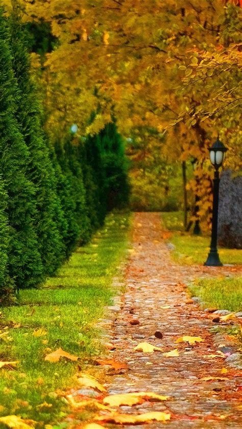 Wallpaper Park Autumn Road Trees Lantern Leaves 2560x1600 Hd
