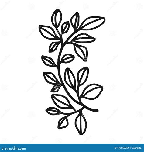 Hand Drawn Leaf Black And White Nature Leaf Clip Art Or Logo Stock