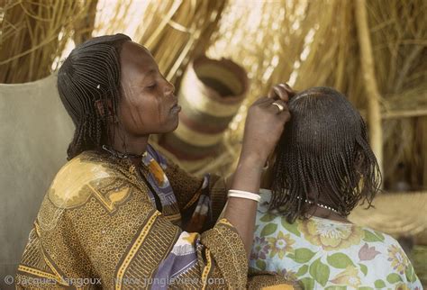 People Of The Sahel Kanem And Lake Chad African Hairstyles African