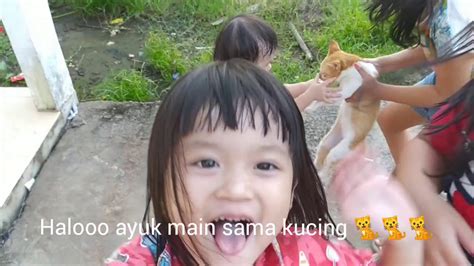 Main Sama Kucing Yuk Have Fun With Cutie Cat Youtube