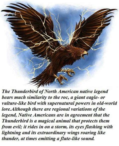 Thunderbird Native American Mythology Mythological Creatures Native