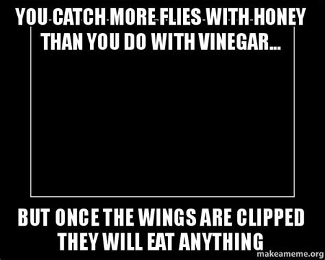 You Catch More Flies With Honey Than You Do With Vinegar But Once