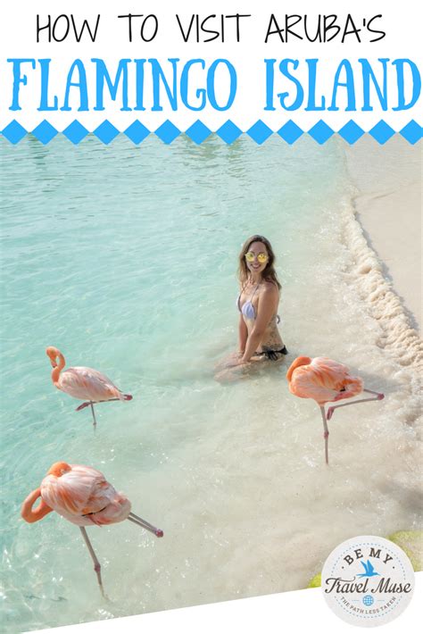 Flamingo Island Aruba How To Visit Is It Worth It Aruba Travel Caribbean Travel Aruba