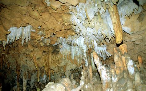 Florida Caverns State Park Photograph By Millard H Sharp Pixels