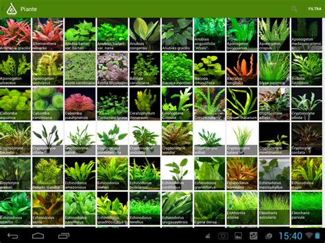 Aquatic Plants With Their Names